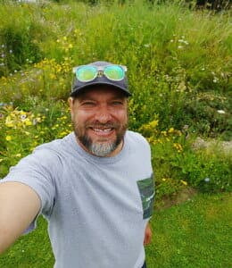 Sosna i jego sadzonki