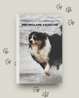 Przywołanie awaryjne - Uniwersytet Szczęśliwego Psa