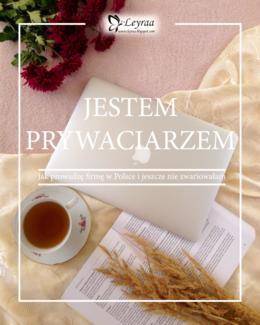 Przedsprzedaż - Jestem Prywaciarzem - Jak prowadzę firmę w Polsce i jeszcze nie zwariowałam – Ana Mieszkowska, e-book EPUB
